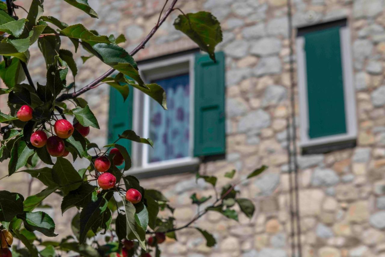 Podere Pratizzoli Tole Екстер'єр фото